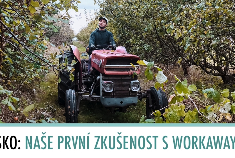 Práce v Dánsku