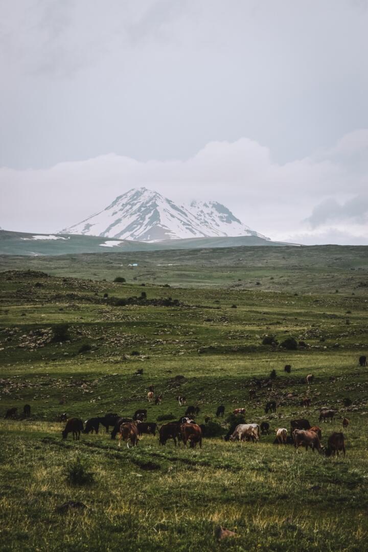 Aragats, Arménir
