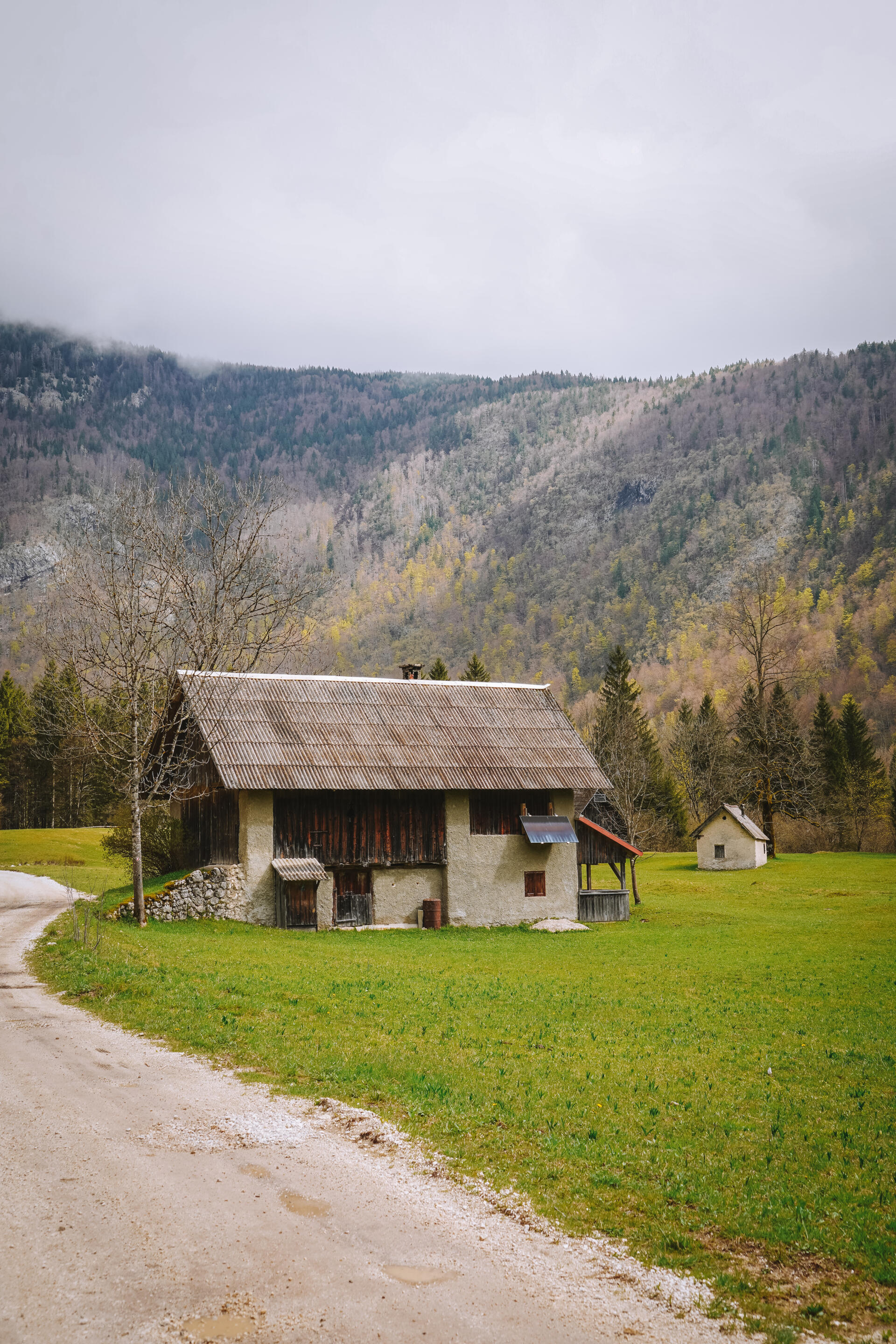 Slovinsko planina