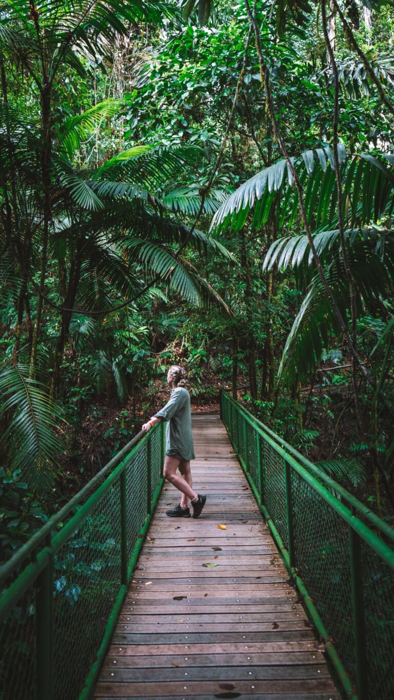 Mistico Hanging Bridges, Kostarika
