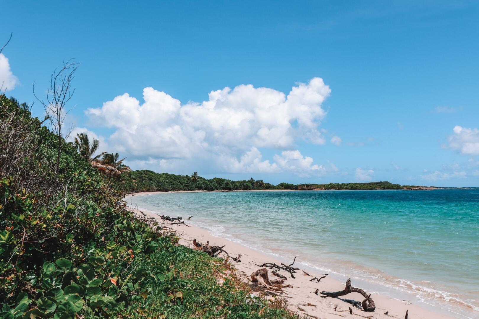 Les Salines, Martinik