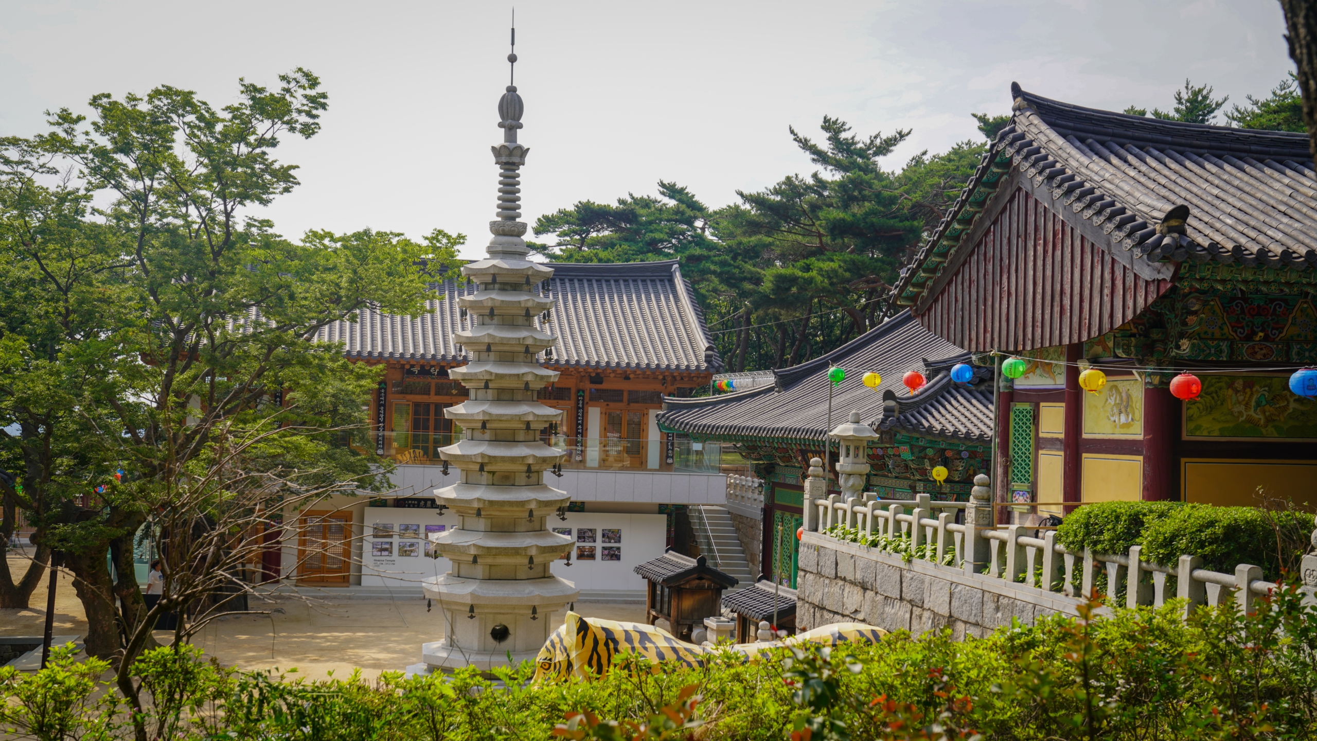 Seoul Trail