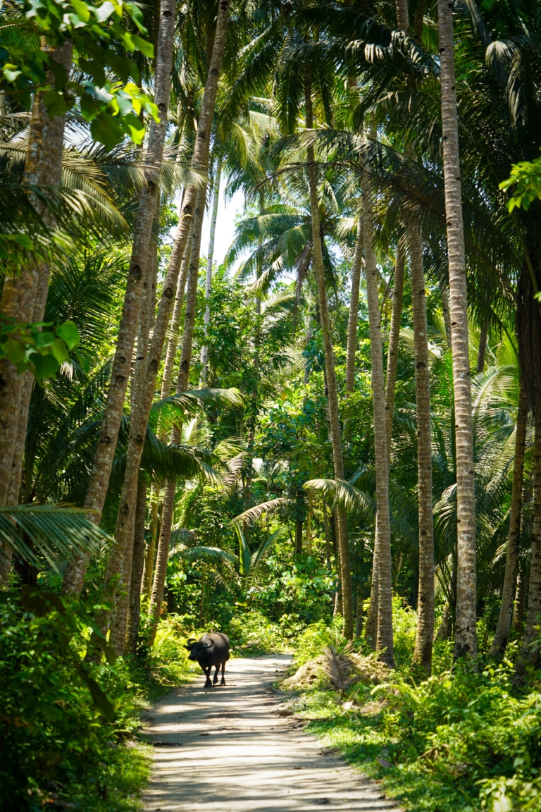 Siquijor Filipíny