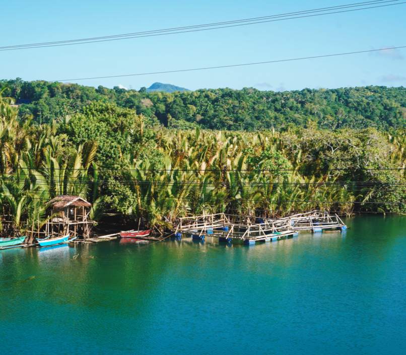 Bohol, Loboc River, Filipíny